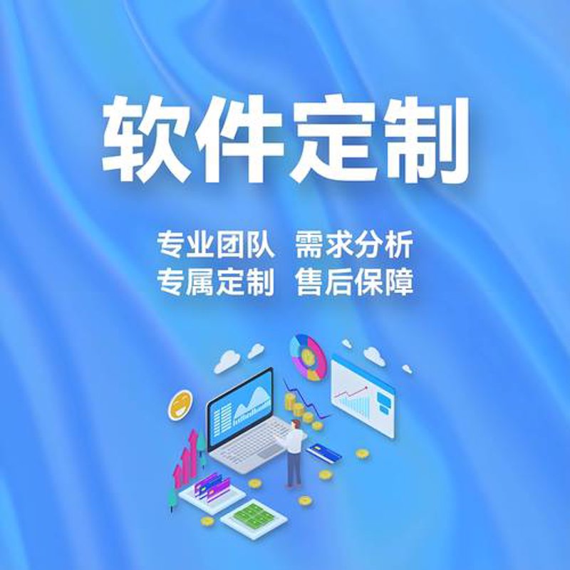 上海软件开发：数字时代的筑梦者